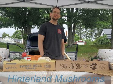 New business sprouts up- Hinterland Mushroom Farm a great source for local mushroom lovers