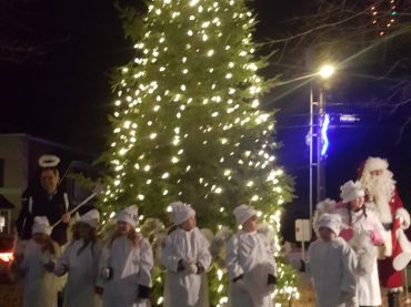 Tree of lights raises funds for big equipment, miniature horses raise spirits of crowd on hand to celebrate