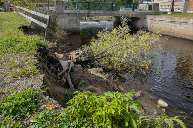 Brennan-Crk-Br_01-fw