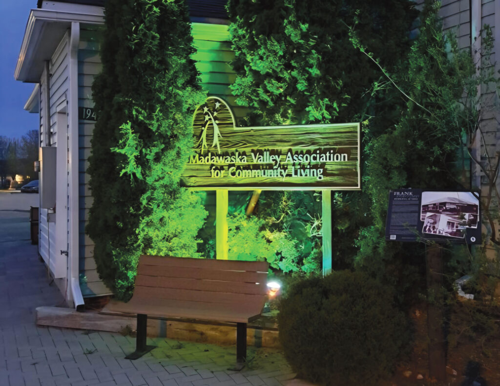 Shine the Light: Celebrating inclusion and community this May
